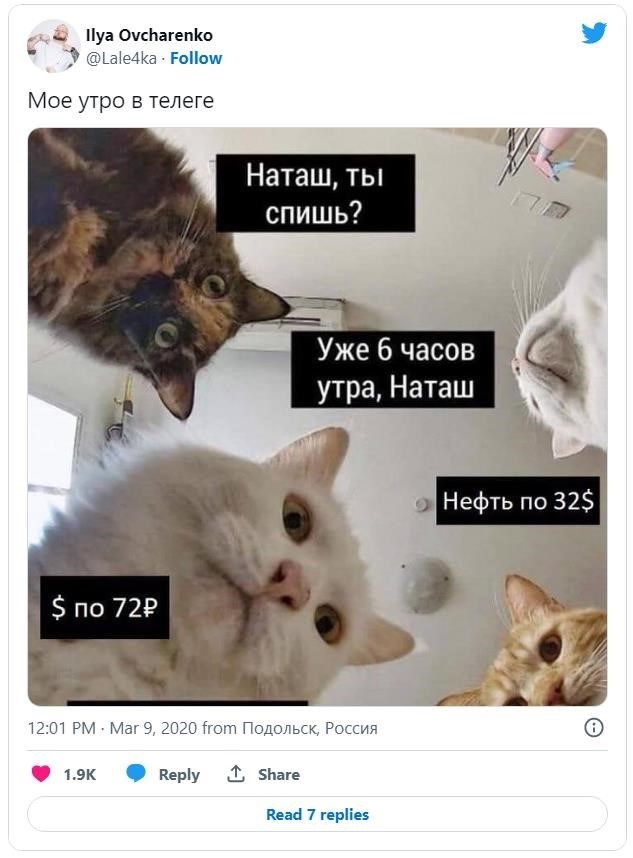 Мем с Наташей и её котами всегда актуален!