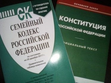 Какие документы понадобятся при подаче искового заявления о лишении родительских прав