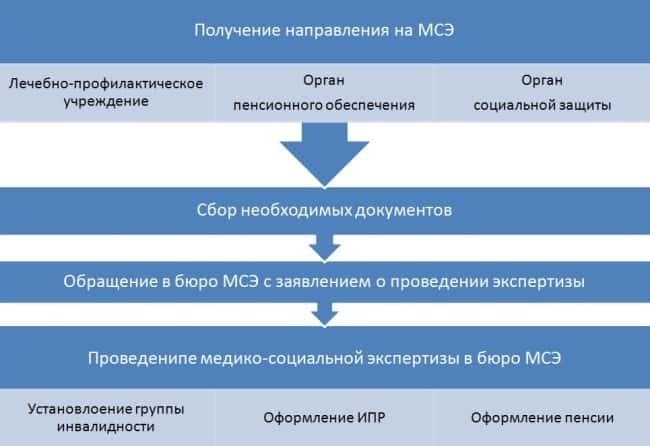 Организация медико-социальной экспертизы