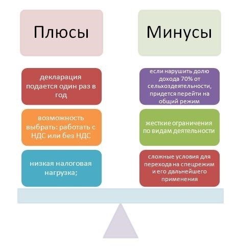 Как вести бухгалтерию и отчитываться на специальных налоговых режимах?