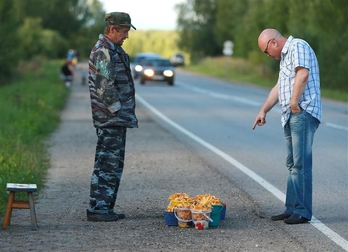 За сбор грибов из Красной книги ввели уголовную ответственность