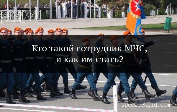 Какие предметы нужно сдавать чтобы поступить в ГИБДД