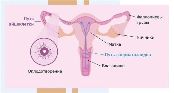 Как избежать нежелательной беременности в юном возрасте