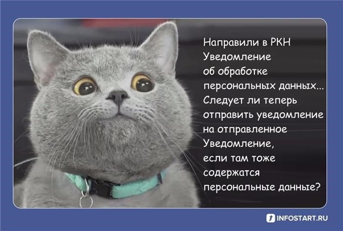 Как и когда подать уведомление в роскомнадзор в 2025 году?