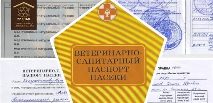 Медицинская книжка у продавца