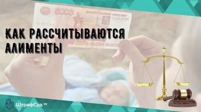 На что можно потратить алименты по закону