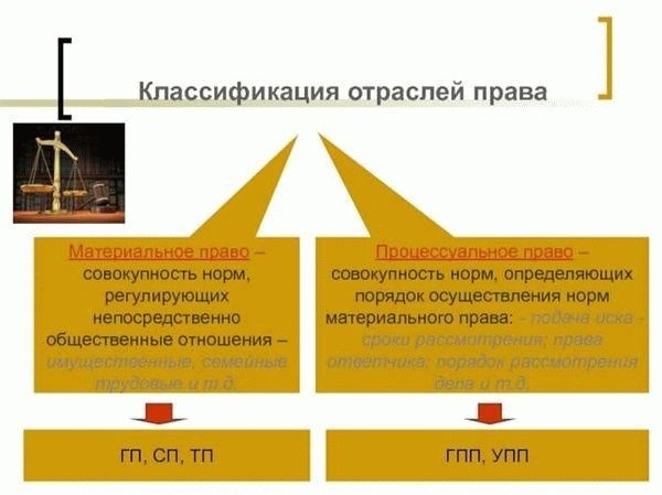 Процессуальное право в России