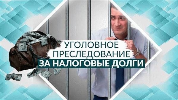 Доказывание вины обвиняемого по статье о пособничестве терроризму