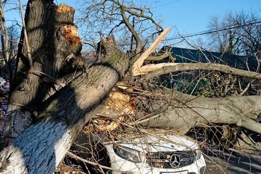 Первые действия автомобилиста