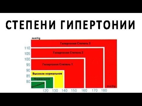 Что предстоит пройти призывнику?